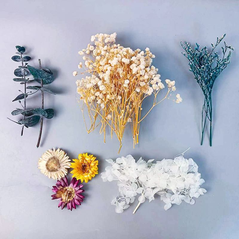 Embellish Craft - 1 paket Çok Çeşitli Kurutulmuş Çiçekler