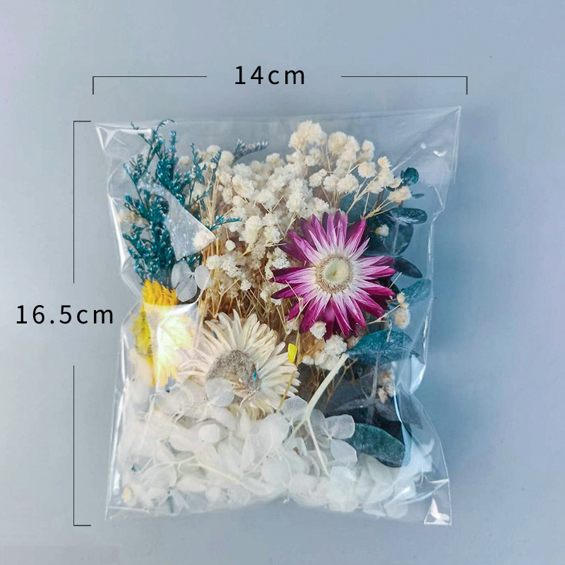 1 paket Çok Çeşitli Kurutulmuş - Embellish Craft incelemesi ve fiyatı